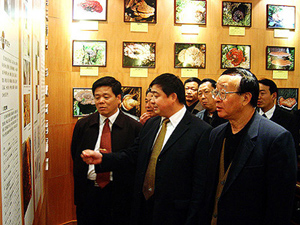 hjc888·黄金城网址