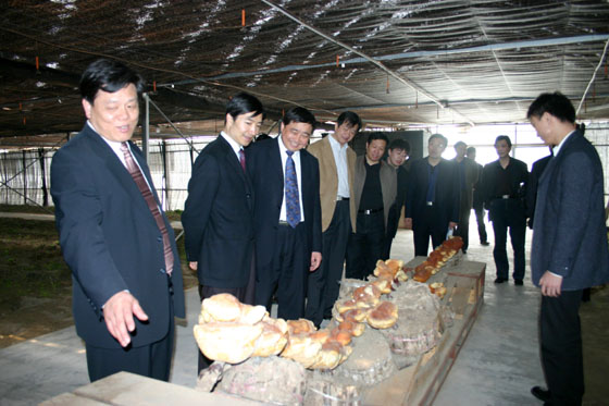 hjc888·黄金城网址