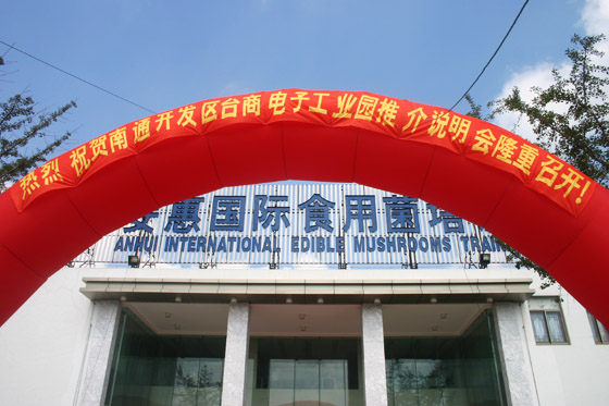 hjc888·黄金城网址 hjc888·黄金城网址