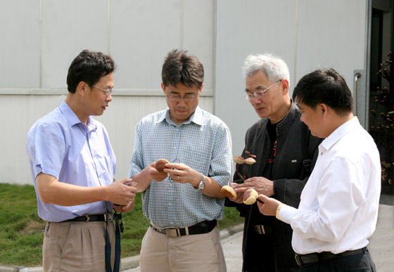 hjc888·黄金城网址