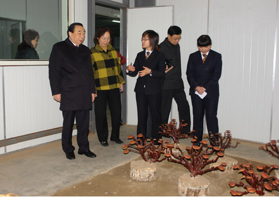 hjc888·黄金城网址