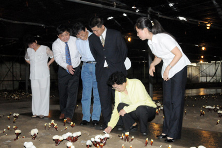 hjc888·黄金城网址