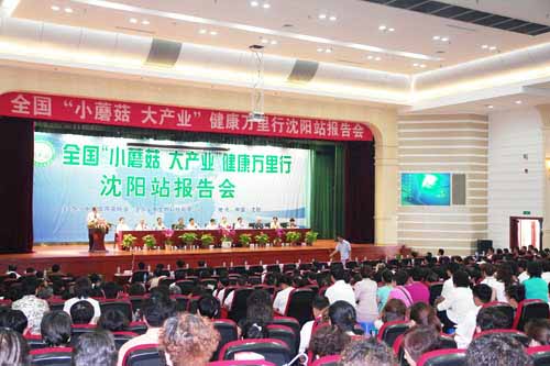 hjc888·黄金城网址 hjc888·黄金城网址